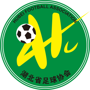 湖北女足U18队标,湖北女足U18图片