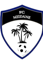 恩泽达内队标,恩泽达内图片