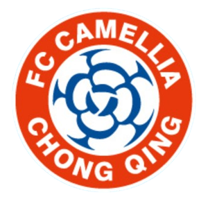 重庆笛凯忠赤队标,重庆笛凯忠赤图片